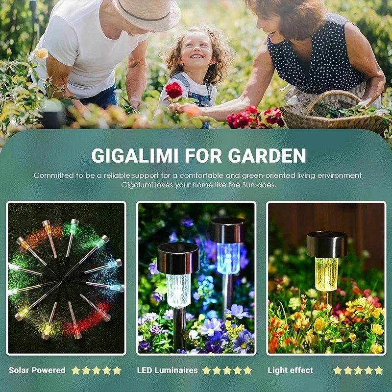 Luzes solares ao ar livre lâmp - Garden Lighting Decor avaliação e preço